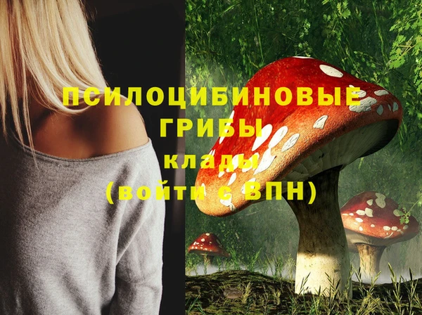 трава Абинск