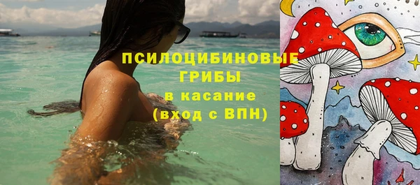 мяу мяу мука Абдулино