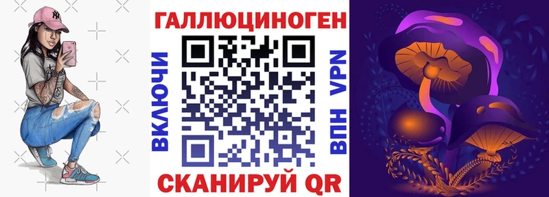 купить  сайты  Чкаловск  Псилоцибиновые грибы прущие грибы 